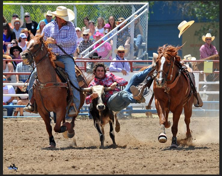 Steer wrestling